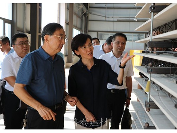 市委書記張莉蒞臨魯泰建材集團調研指導