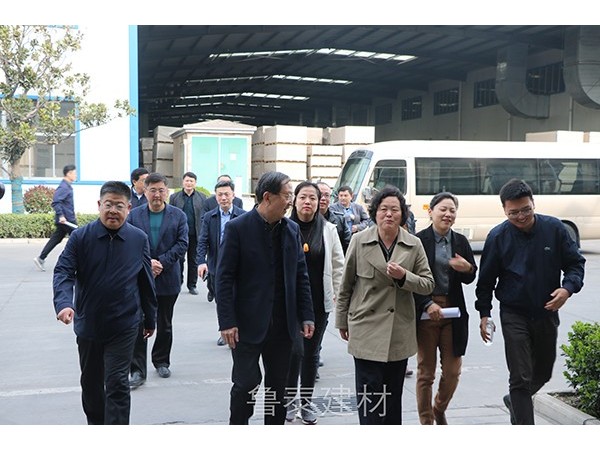 中國建筑學會科技服務團蒞臨魯泰建材考察指導